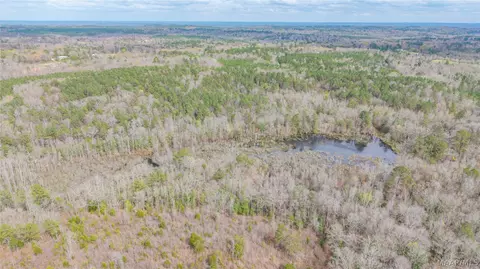 0 Brownin Rd, Ralph, AL 35480 photo 25