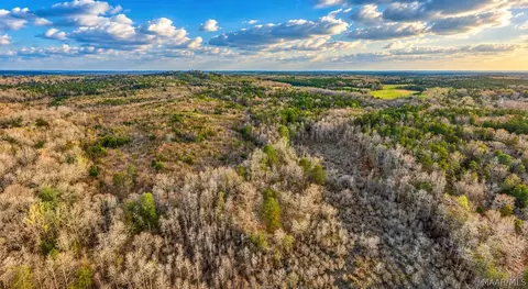 0 Brownin Rd, Ralph, AL 35480 photo 6
