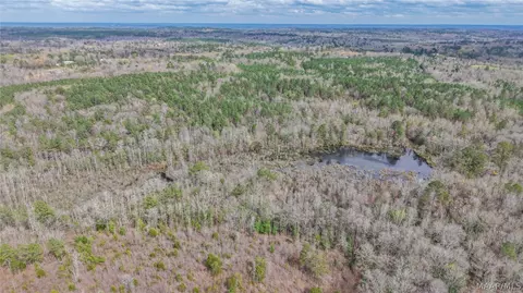 0 Brownin Rd, Ralph, AL 35480 photo 24