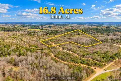 0 Brownin Rd, Ralph, AL 35480 photo 4