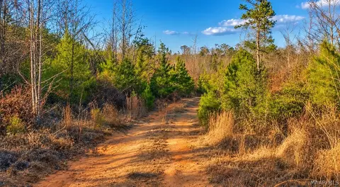 0 Brownin Rd, Ralph, AL 35480 photo 3