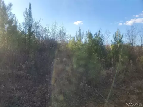 0 Brownin Rd, Ralph, AL 35480 photo 7