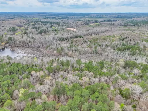0 Brownin Rd, Ralph, AL 35480 photo 11
