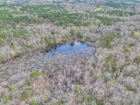 0 Brownin Rd, Ralph, AL 35480 photo 10