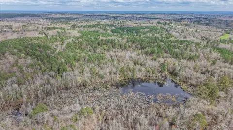 0 Brownin Rd, Ralph, AL 35480 photo 22