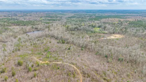 0 Brownin Rd, Ralph, AL 35480 photo 21