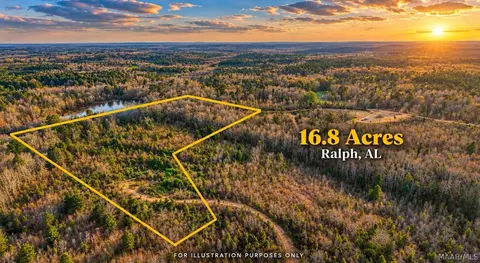 0 Brownin Rd, Ralph, AL 35480 photo 2