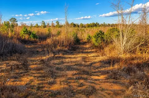0 Brownin Rd, Ralph, AL 35480 photo 5