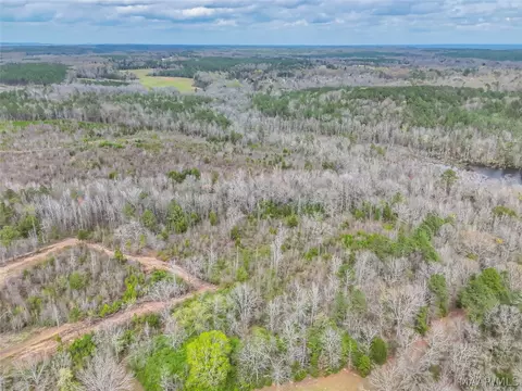 0 Brownin Rd, Ralph, AL 35480 photo 15