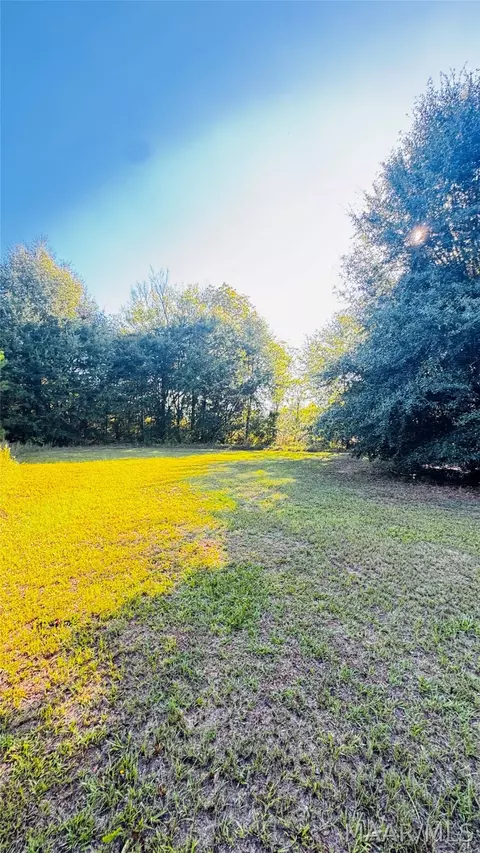 3820 County Road 225 Rd, Minter, AL 36761