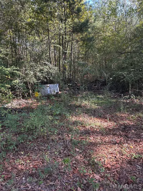 217 Lynn Dr, Coosada, AL 36020