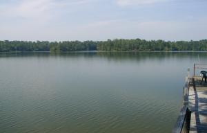 309 Pinecrest Ln, Jacksons Gap, AL 36861 photo 2