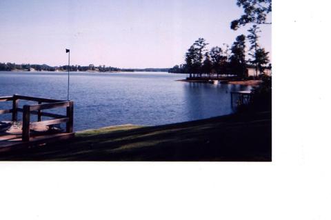 672 Mockingbird Rd, Jacksons Gap, AL 36861 photo 1