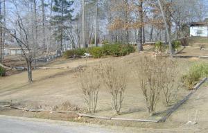 577 Midway Cir, Jacksons Gap, AL 36861 photo 3