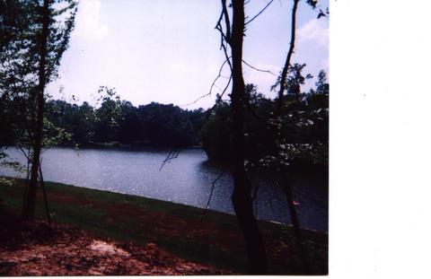 155 Manoy Loop, Jacksons Gap, AL 36861 photo 2