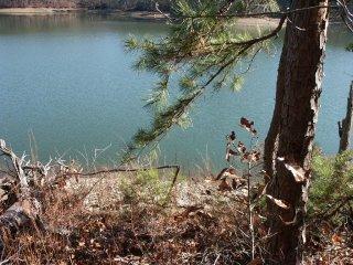 199 Loopety Loop, Dadeville, AL 36853 photo 4