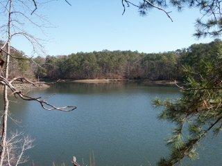199 Loopety Loop, Dadeville, AL 36853 photo 1