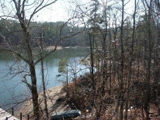 199 Loopety Loop, Dadeville, AL 36853 photo 3