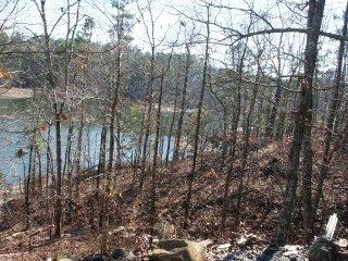 199 Loopety Loop, Dadeville, AL 36853 photo 2