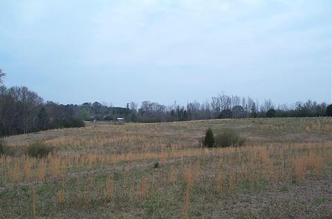 960 Main St, Eclectic, AL 36024 photo 3