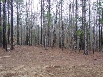 159 Mckea Rd, Jacksons Gap, AL 36861 photo 3