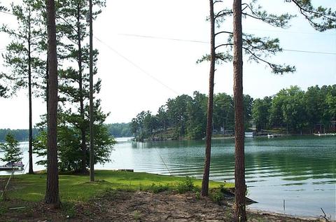 212 Ivy, Equality, AL 36026 photo 2
