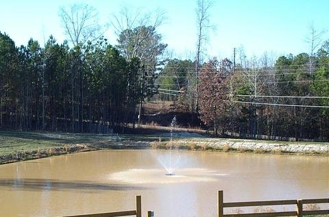 2196 Neros Rock Rd, Eclectic, AL 36024 photo 4