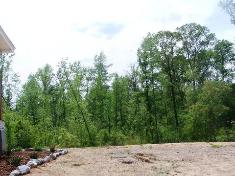 237 Quarry Rd, Eclectic, AL 36024 photo 3