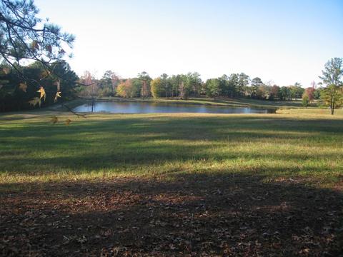 1455 Central Rd, Eclectic, AL 36024 photo 3