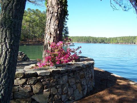 149 Pine Shadows, Eclectic, AL 36024 photo 8