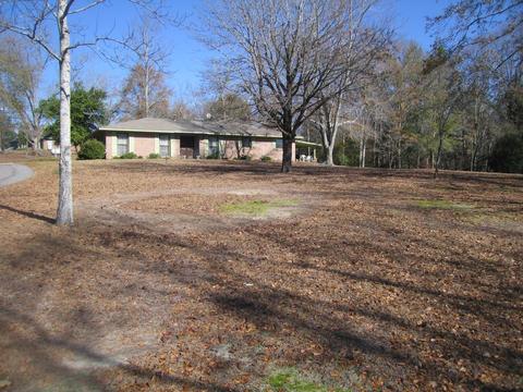 3360 Central Rd, Eclectic, AL 36024 photo 2