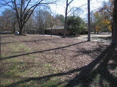 3360 Central Rd, Eclectic, AL 36024 photo 6