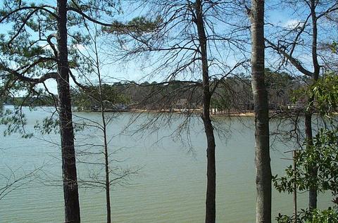 760 Davis, Equality, AL 36026 photo 7