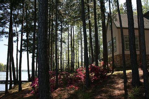 1775 Hancel Rd, Equality, AL 36026 photo 3