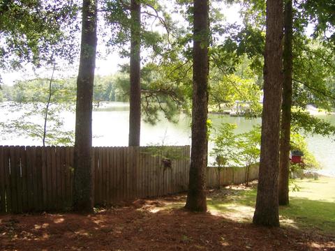 152 Lee Lanier Rd, Eclectic, AL 36024 photo 31