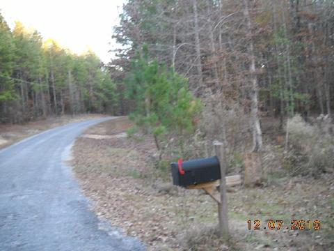 359 Manoy Loop, Jacksons Gap, AL 36861 photo 3