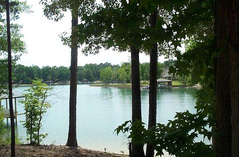 1154 Hancel Rd, Equality, AL 36026 photo 25
