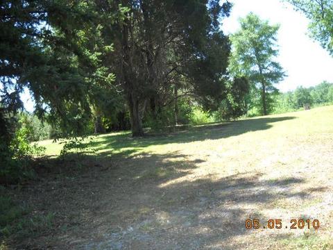 2492 County Road 7, Clanton, AL 35045 photo 5