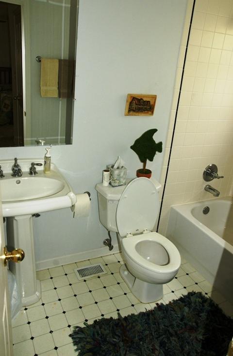 520 Powell, Jacksons Gap, AL 36083 photo 4