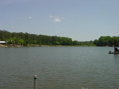 98 Thomas Loop, Jacksons Gap, AL 36861 photo 2