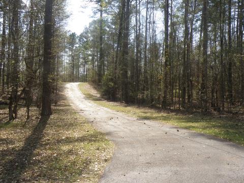 1055 Morrison Rd, Equality, AL 36026 photo 13