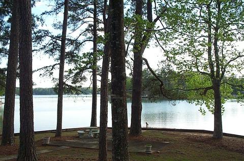 210 Mariners Rd, Equality, AL 36026 photo 20