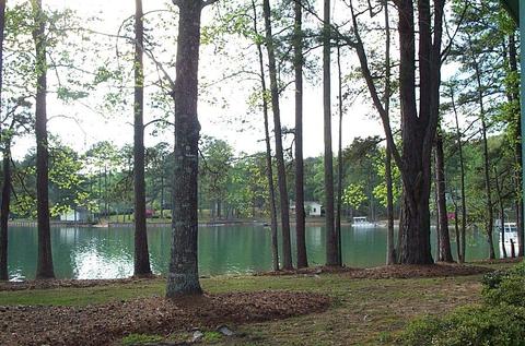 210 Mariners Rd, Equality, AL 36026 photo 6