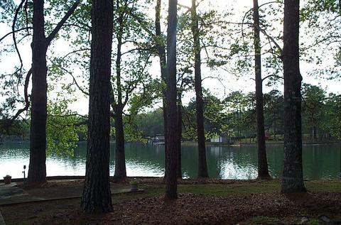 210 Mariners Rd, Equality, AL 36026 photo 5