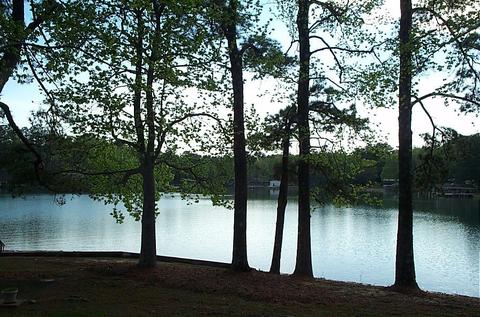 210 Mariners Rd, Equality, AL 36026 photo 21