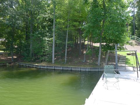 953 Williams Dr, Jacksons Gap, AL 36861 photo 6