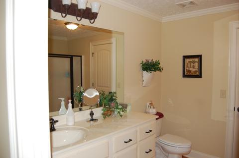 953 Williams Dr, Jacksons Gap, AL 36861 photo 32