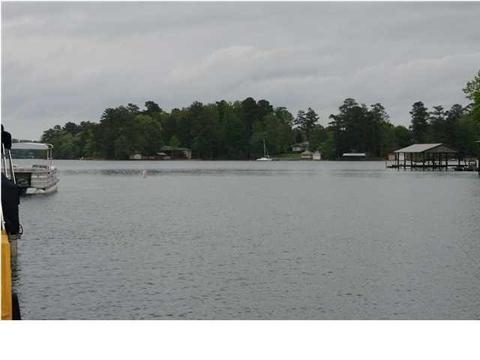 164 Pine Dr, Eclectic, AL 36024 photo 19