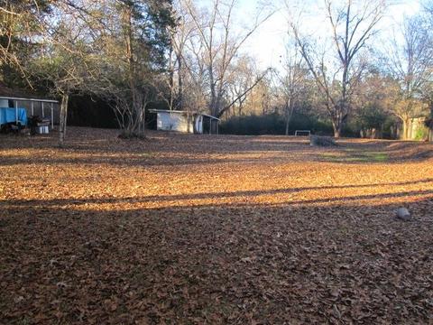 475 Main, Eclectic, AL 36024 photo 13