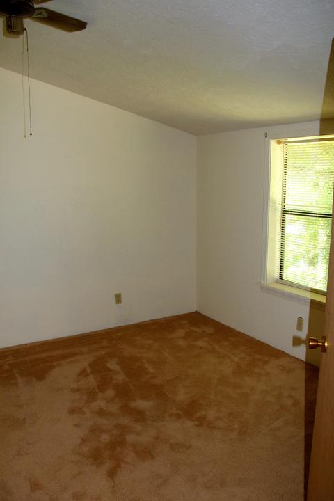 120 Plum Dr, Equality, AL 36026 photo 40